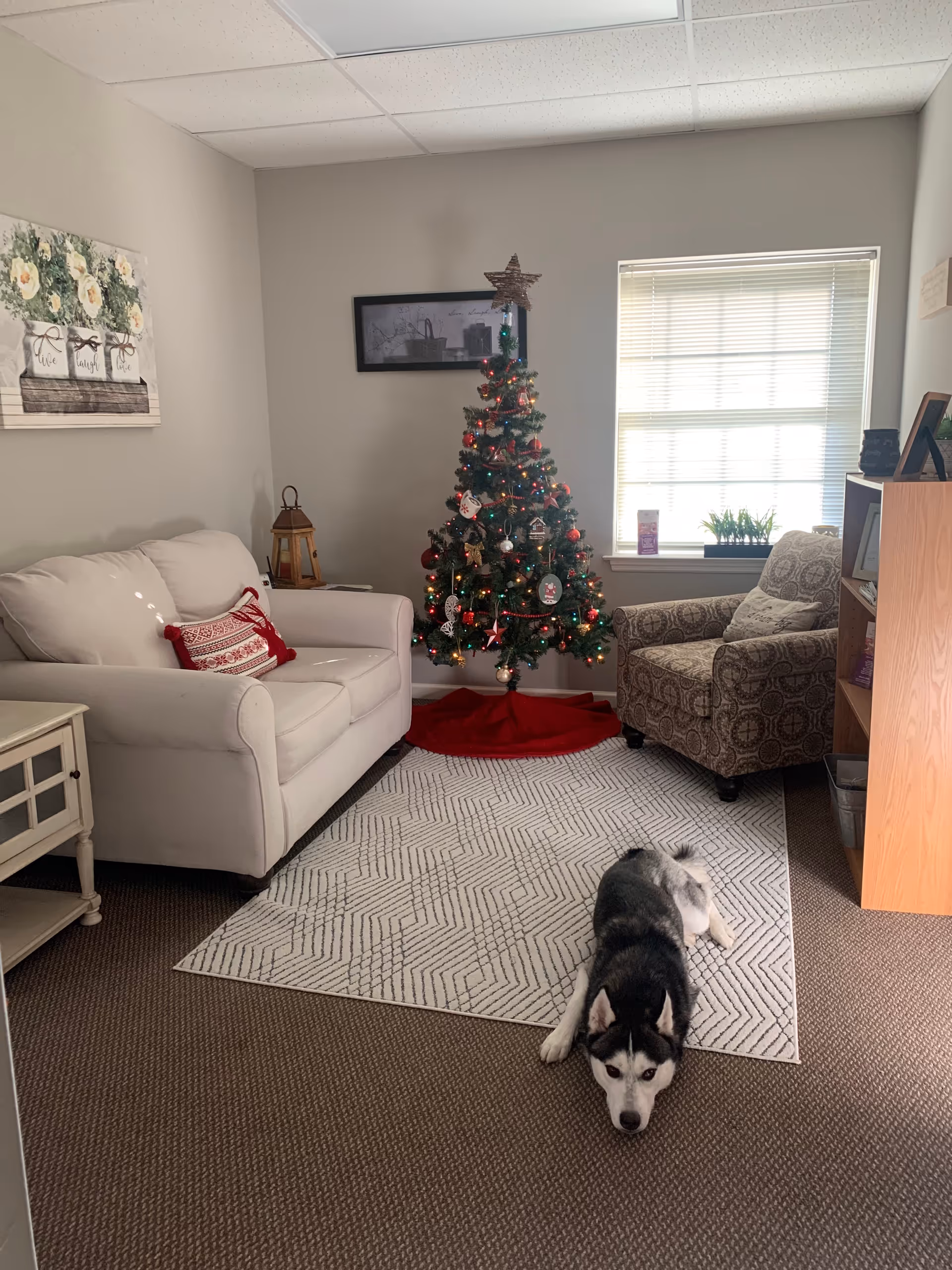 Cozy living room with a decorated Christmas tree, sofa, armchair, and dog.