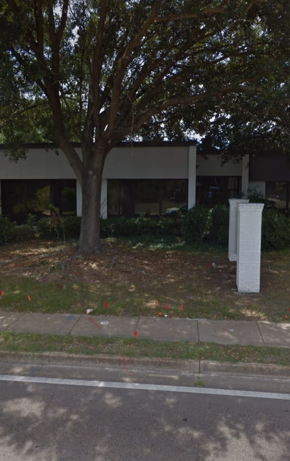 Front exterior of a low, modern building with large windows behind a tree and shrubs