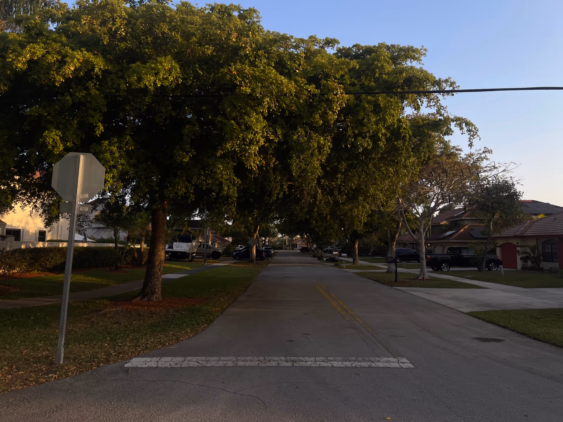 Tree-lined residential street with parked cars, sidewalks, and single-family houses in the distance.