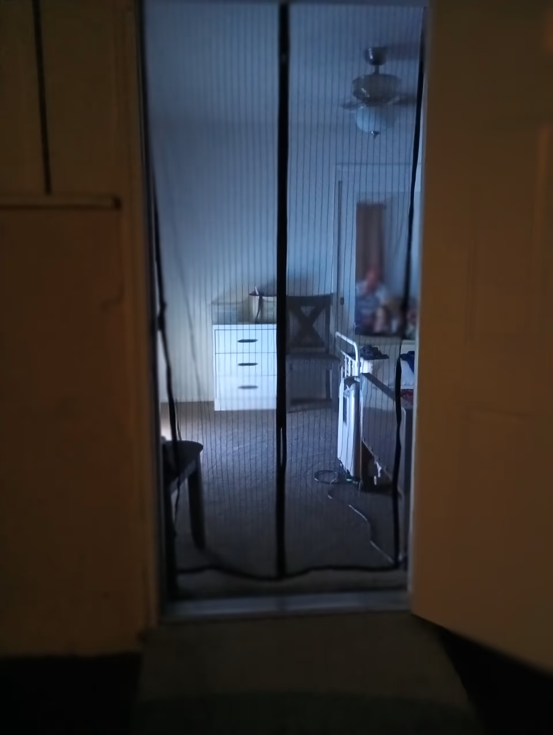 Dimly lit bedroom interior viewed through screen door, with dresser and chair.
