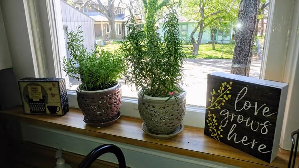 Two potted herbs sit on a windowsill beside a 'love grows here' sign.