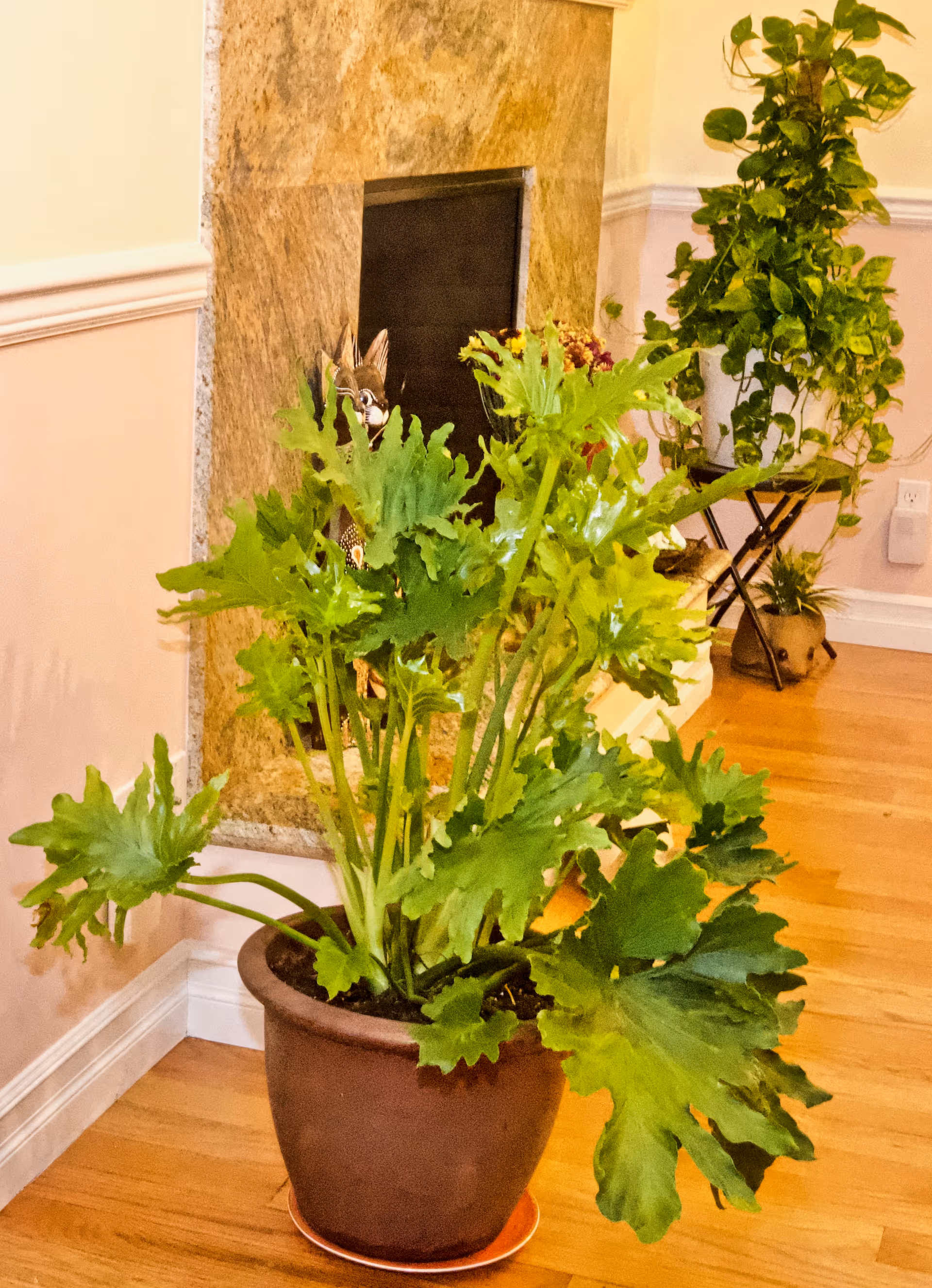 Indoor hallway with large potted green plant by a fireplace and wood floor.