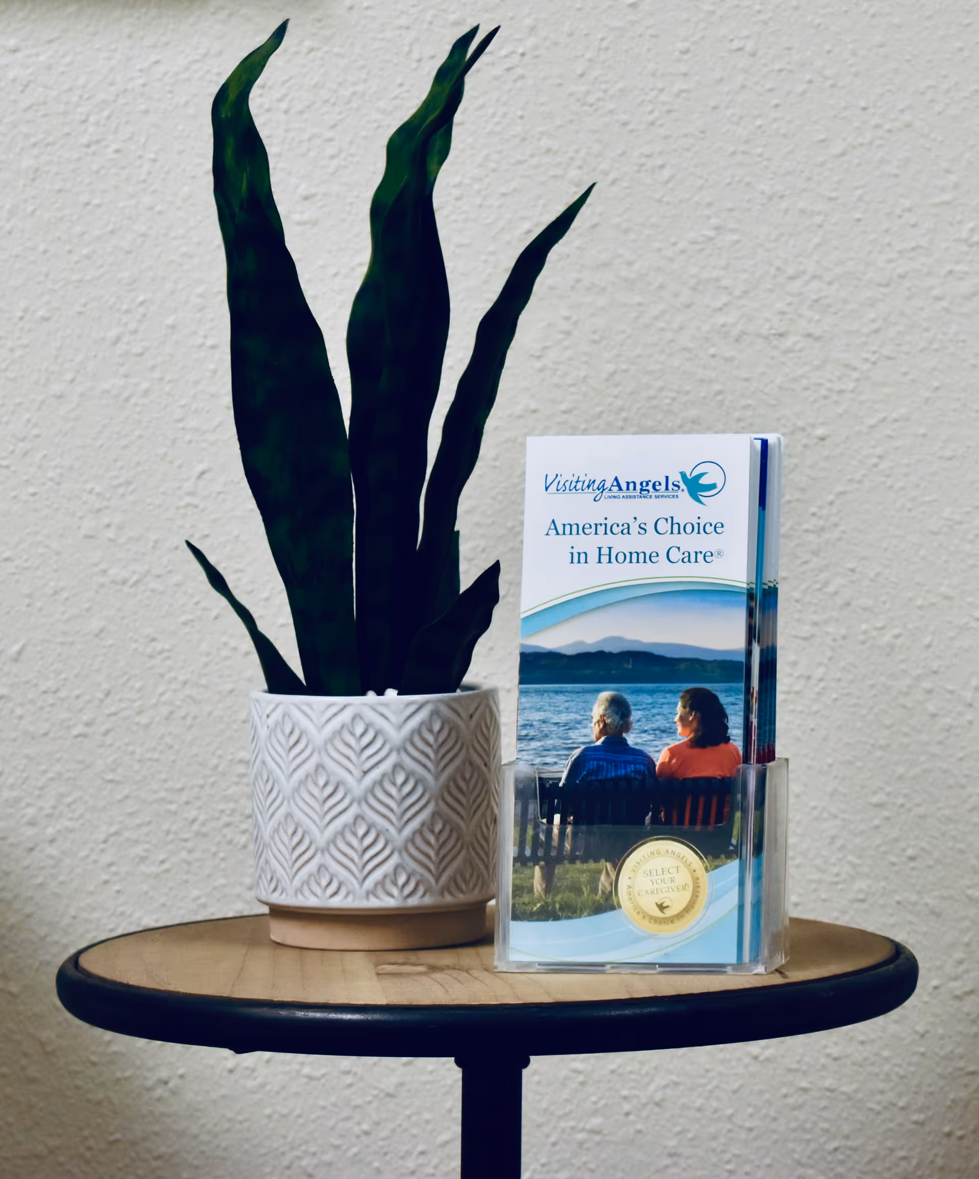 An indoor round table holds a potted plant and a Visiting Angels brochure.