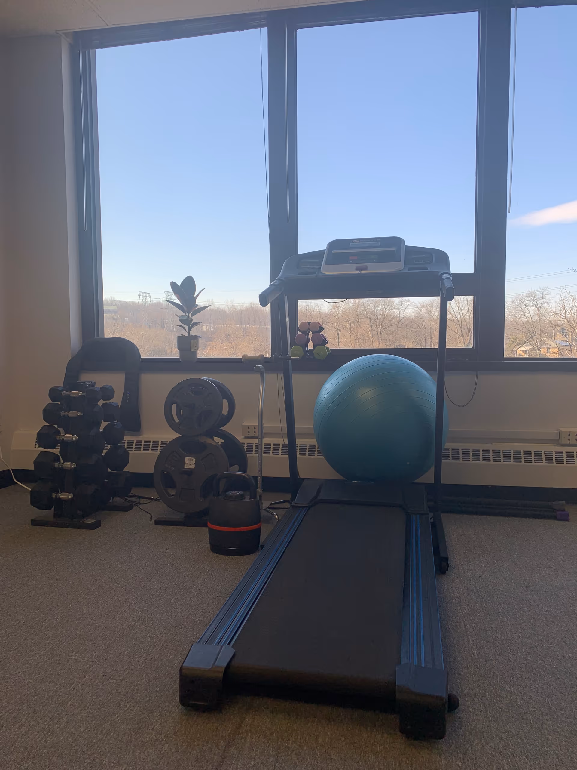 Indoor fitness room with a treadmill, weights, a stability ball, and large windows.