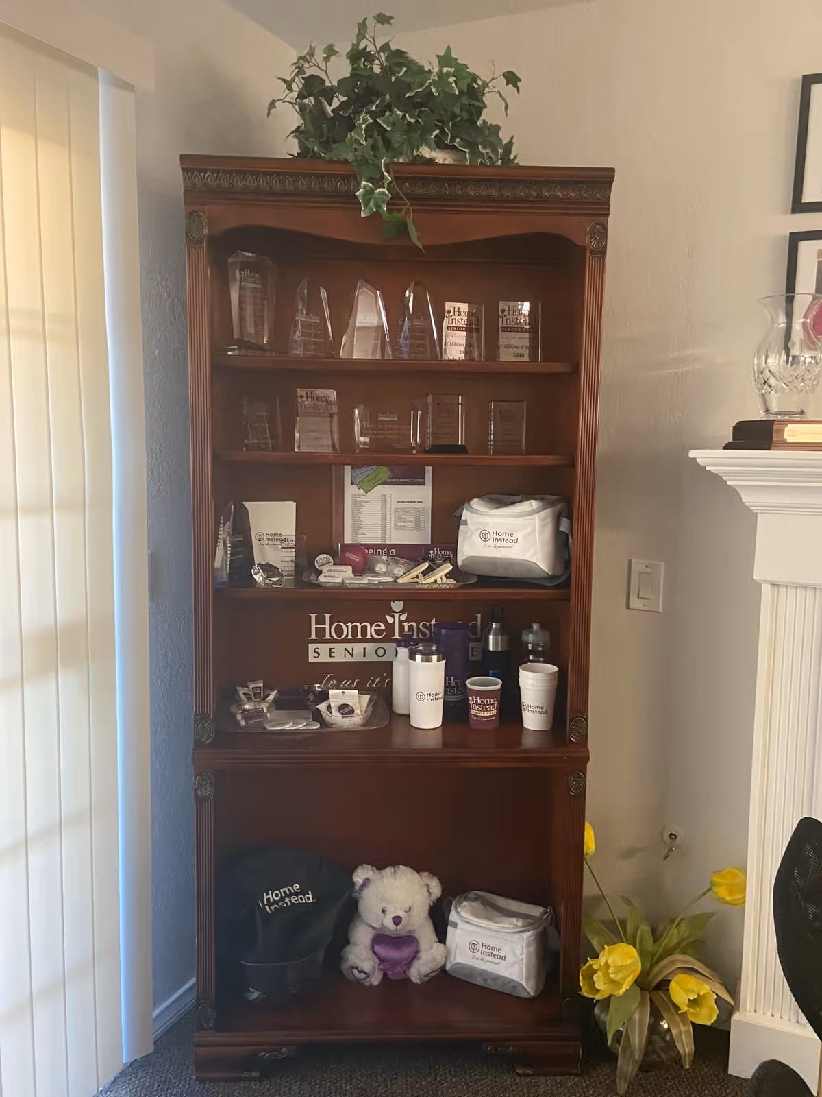 Wooden display cabinet in a living area filled with brochures, mugs, and a teddy bear.