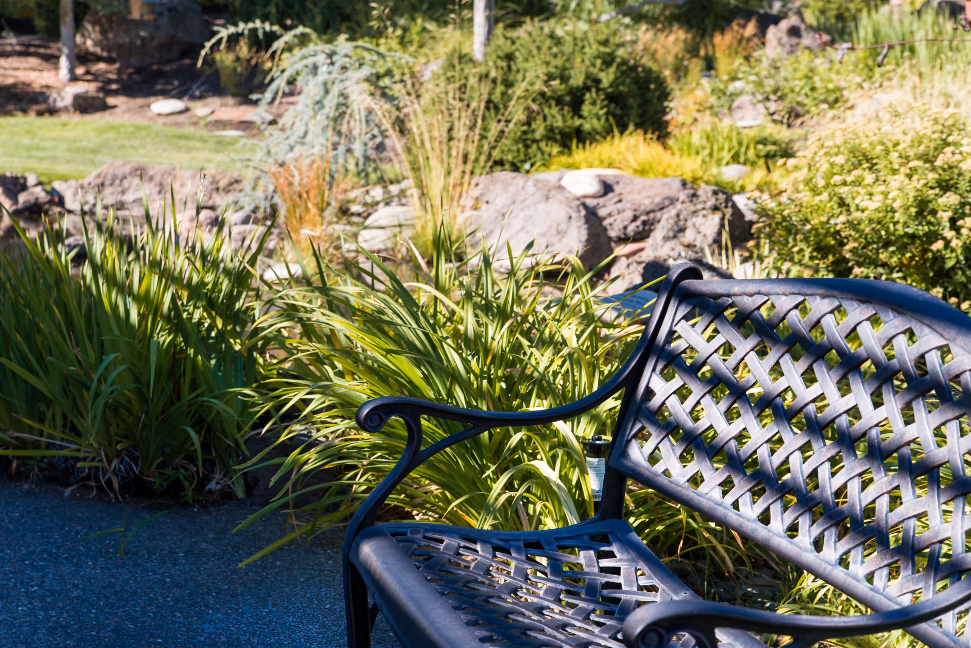 Metal lattice bench beside lush plants and rocks in an outdoor garden.