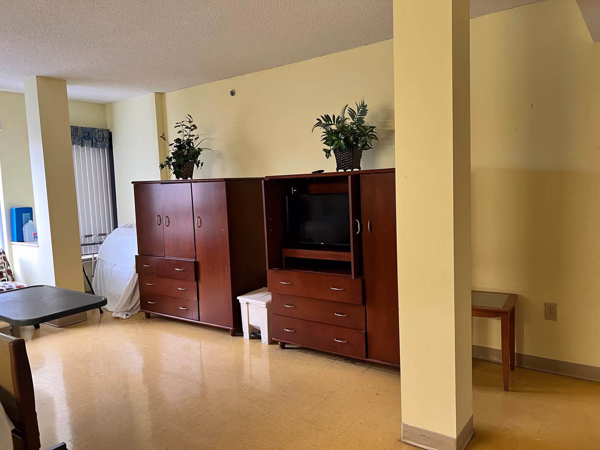 A furnished senior living room with wooden cabinets, TV, plants, and a corner bed.