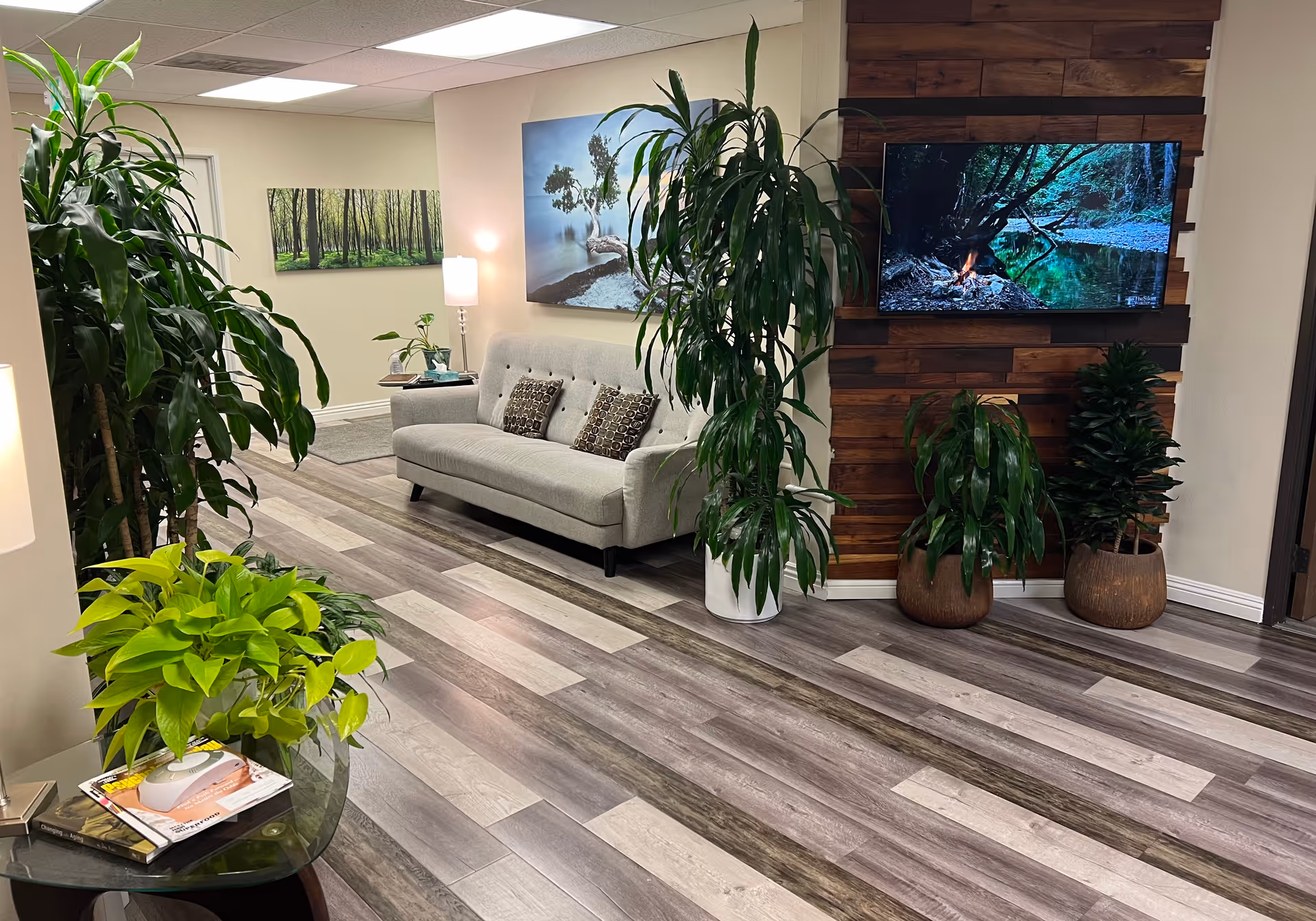 Modern indoor lounge with sofa, large plants, and wall-mounted TV.