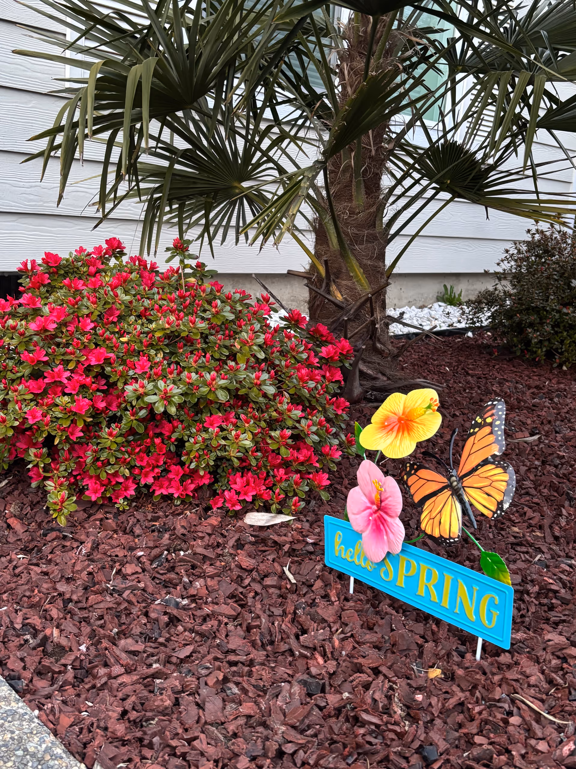 Bright pink flowers, a palm tree, and spring garden decorations outside a building.
