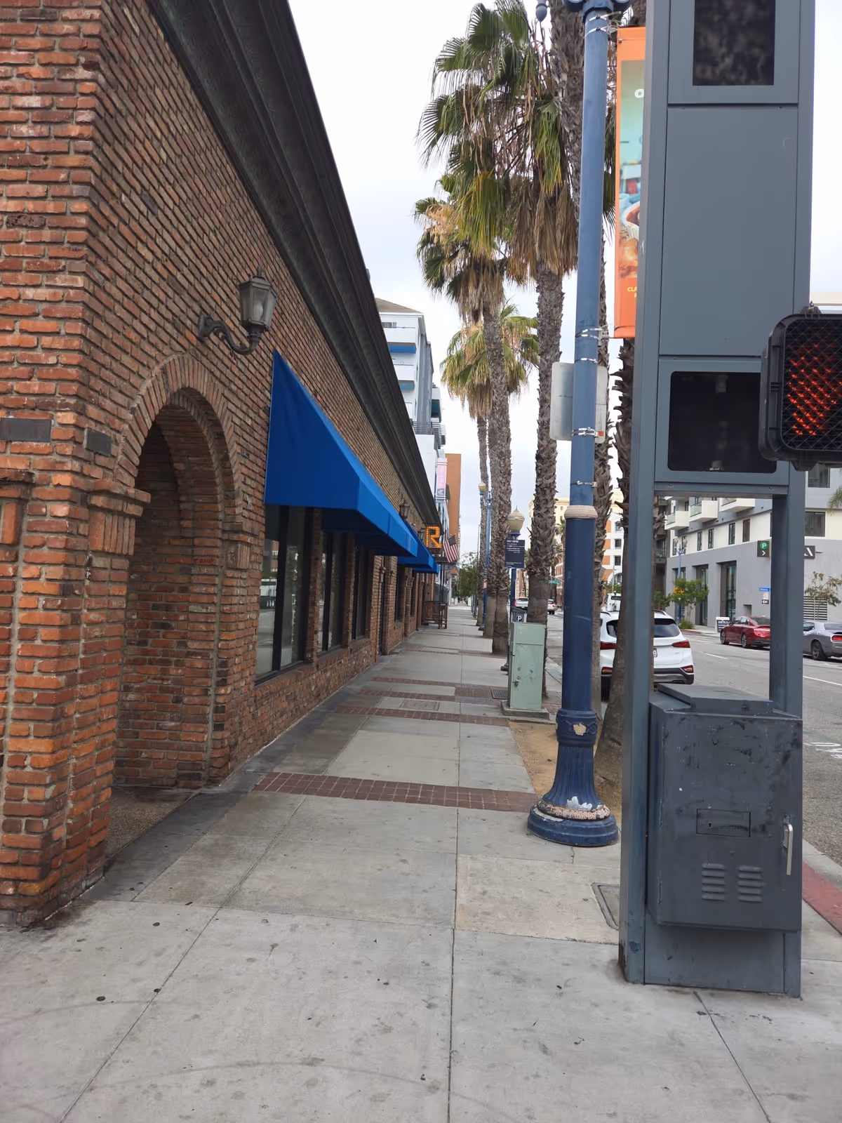 City sidewalk view of brick building with blue awnings and palm trees.