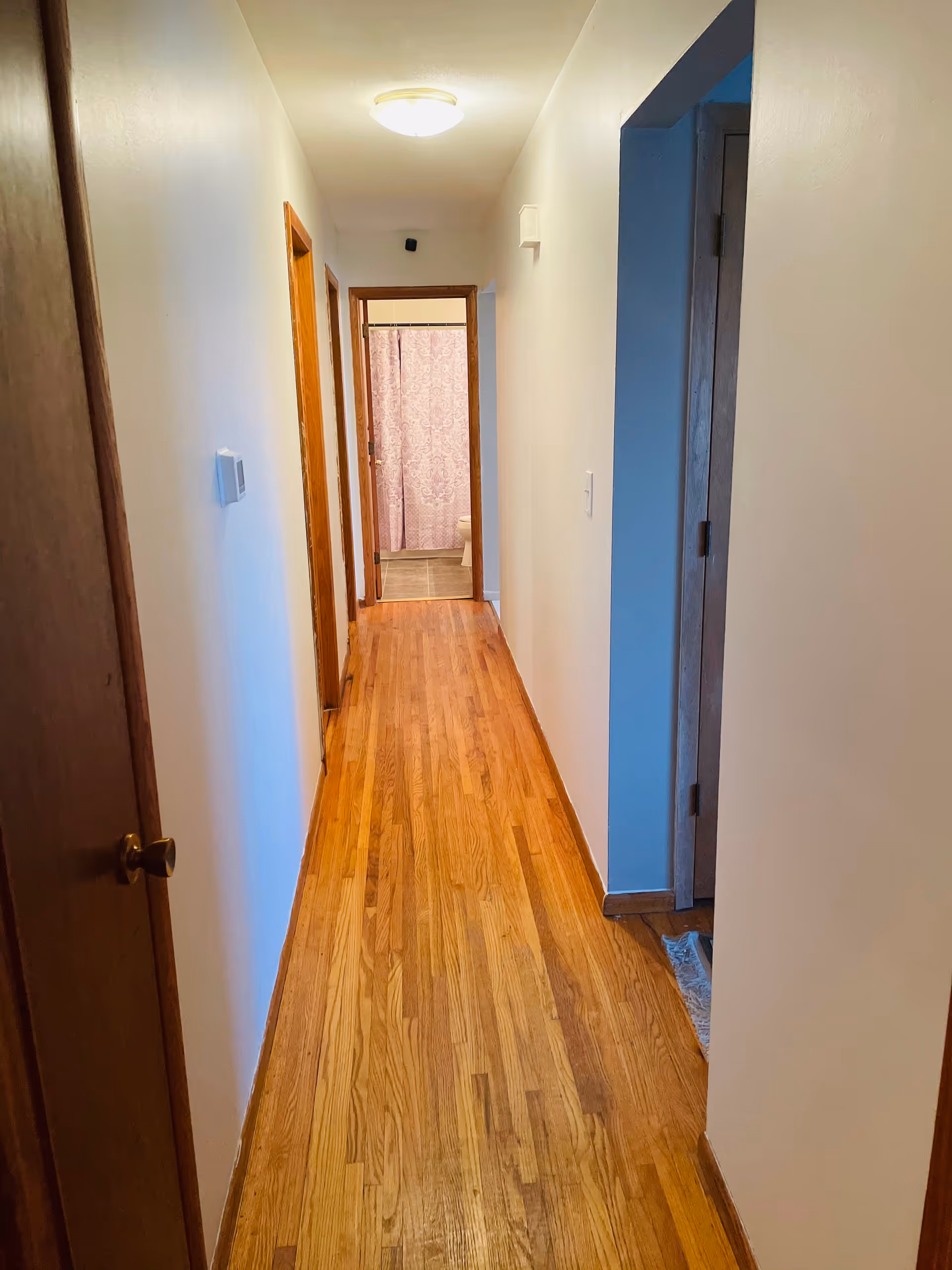 An interior hallway with wooden floors, closed doors, and a pink curtain at the far end.