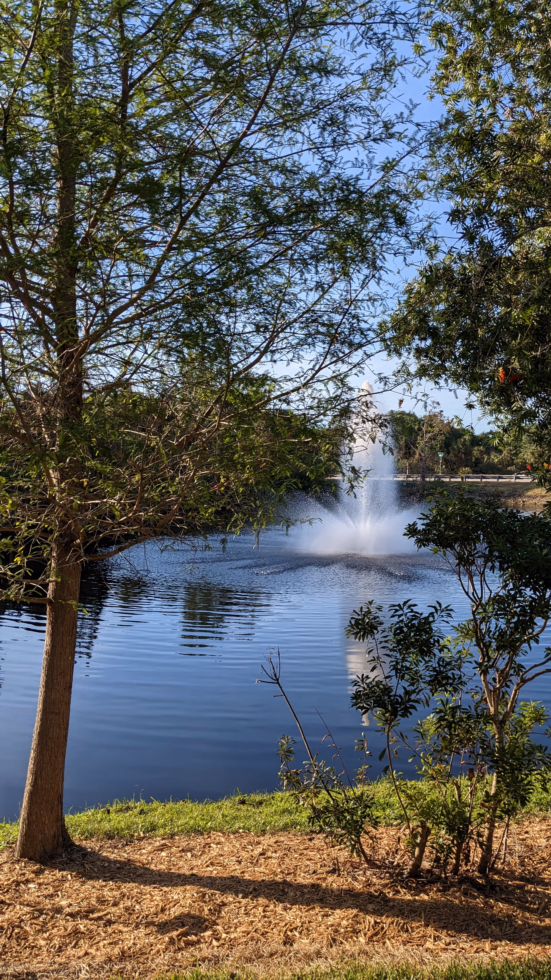 Lakeside park scene with a fountain, trees, and calm water.