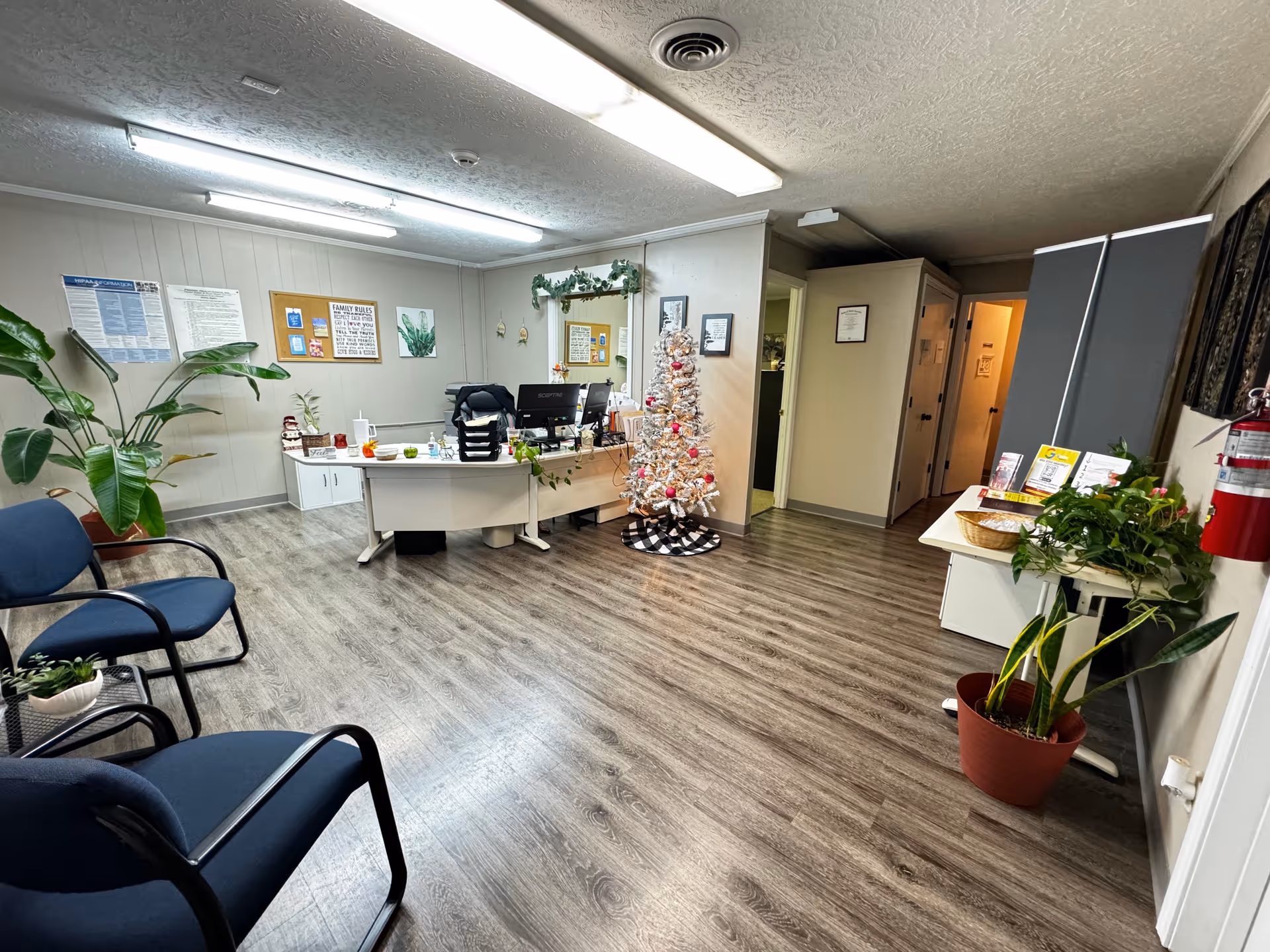 Reception area in a home care facility with a desk, chairs, plants, and a Christmas tree.