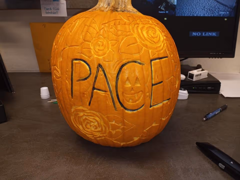 Decorated pumpkin carved with PACE on a desk inside a senior care facility.