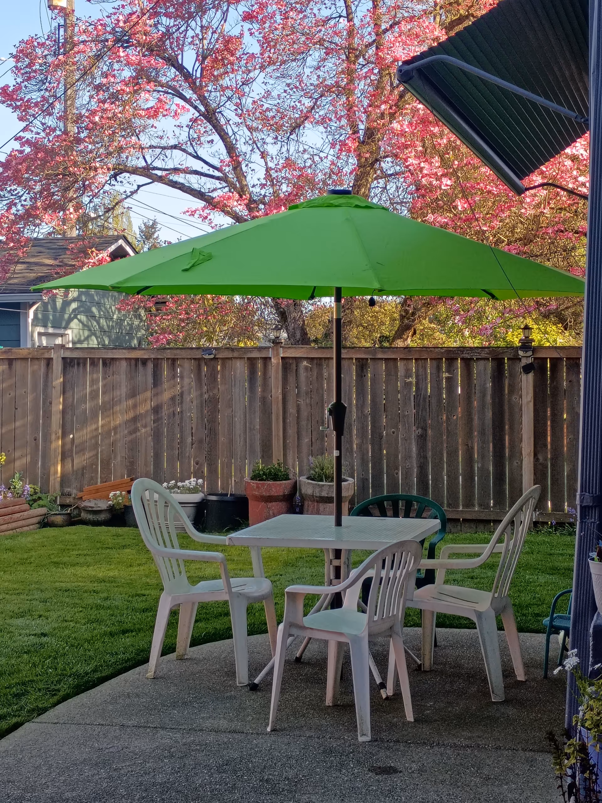 Green patio umbrella over a plastic table and chairs in a fenced backyard.