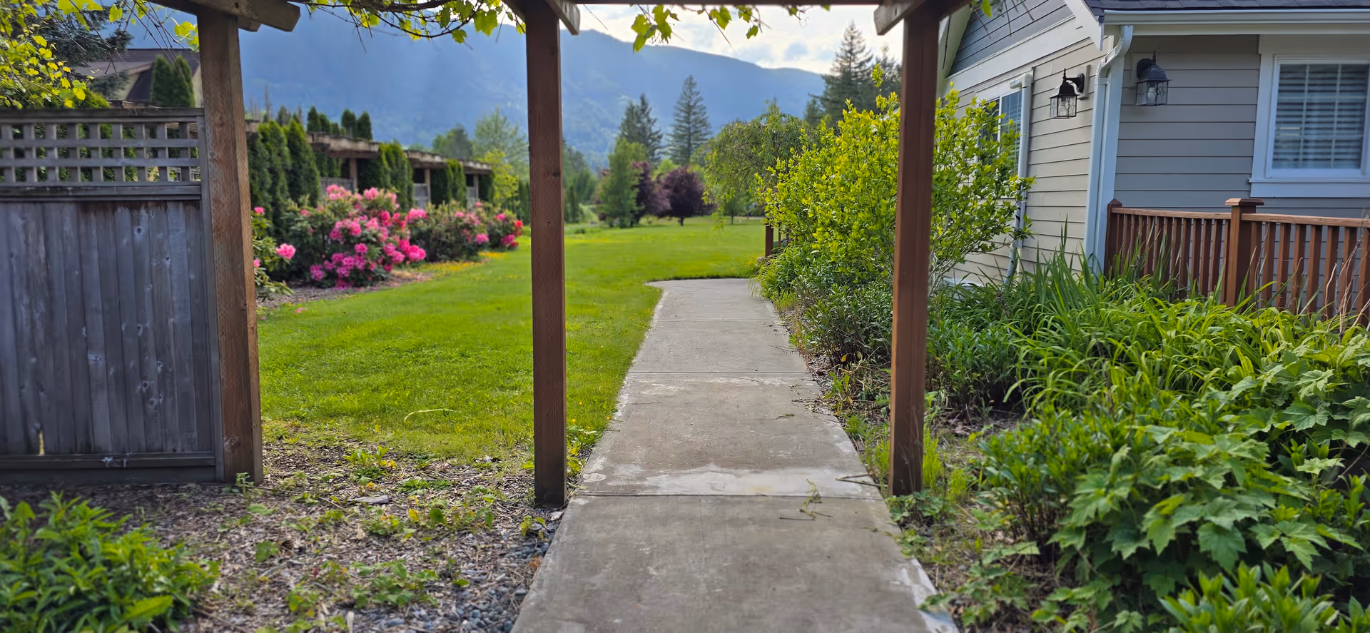 Concrete walkway beneath a wooden pergola leads through a green yard with flowering bushes.