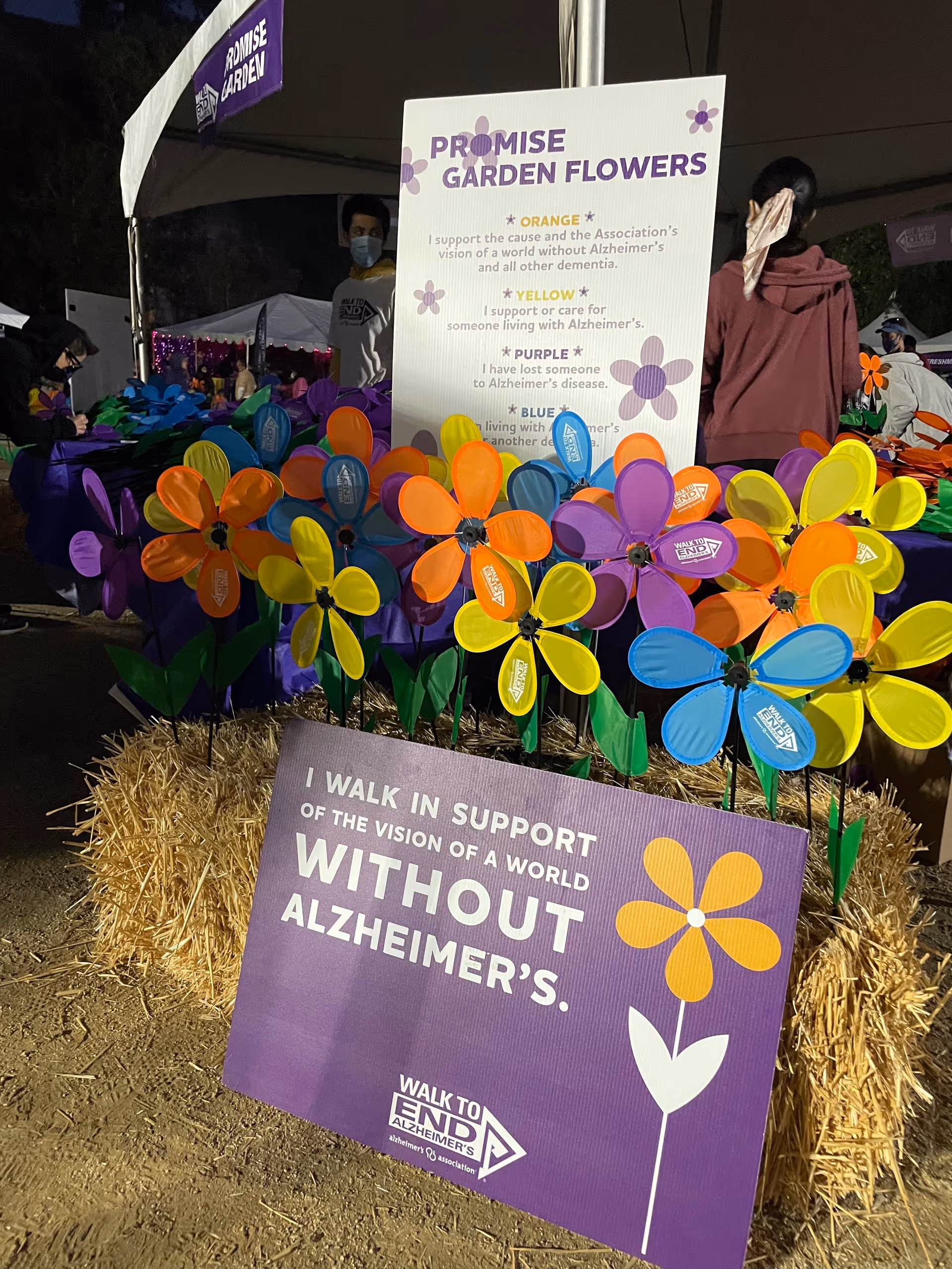 Colorful plastic flowers and signs support Alzheimer's awareness at an outdoor event.
