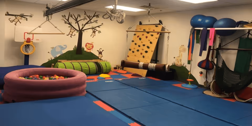 Indoor sensory gym with padded mats, climbing wall, ball pit, and play equipment.