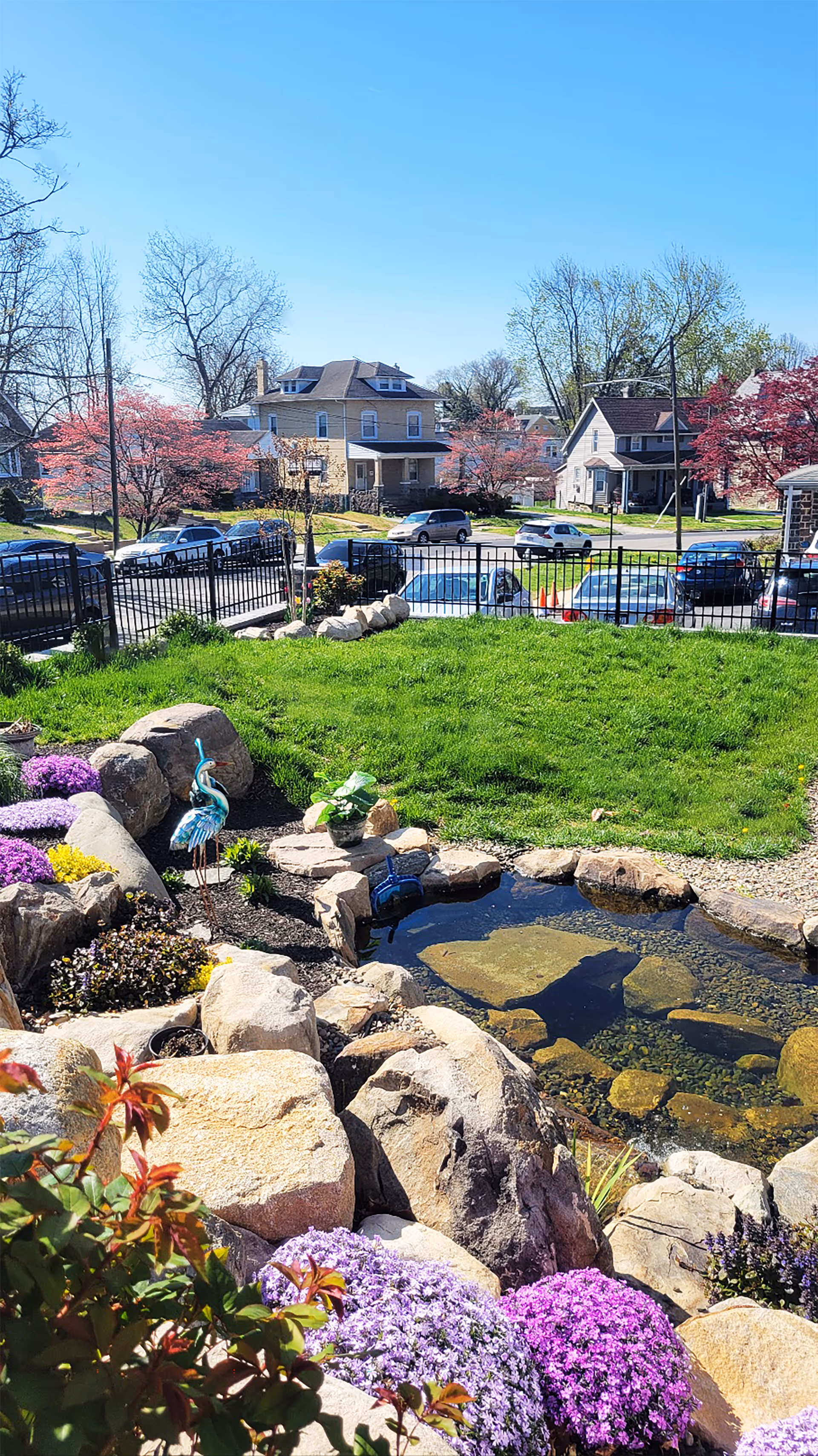 Well-kept outdoor garden with a small pond, rocks, and blooming flowers.