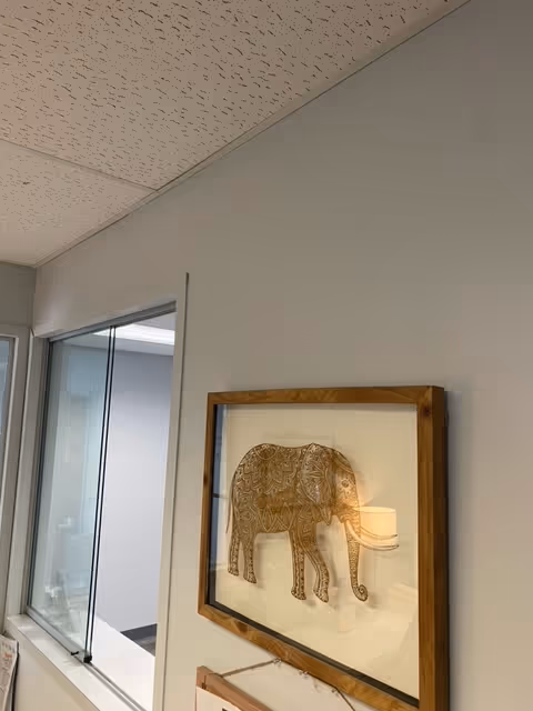 Interior hallway with a framed elephant artwork on the wall beside a glass window.