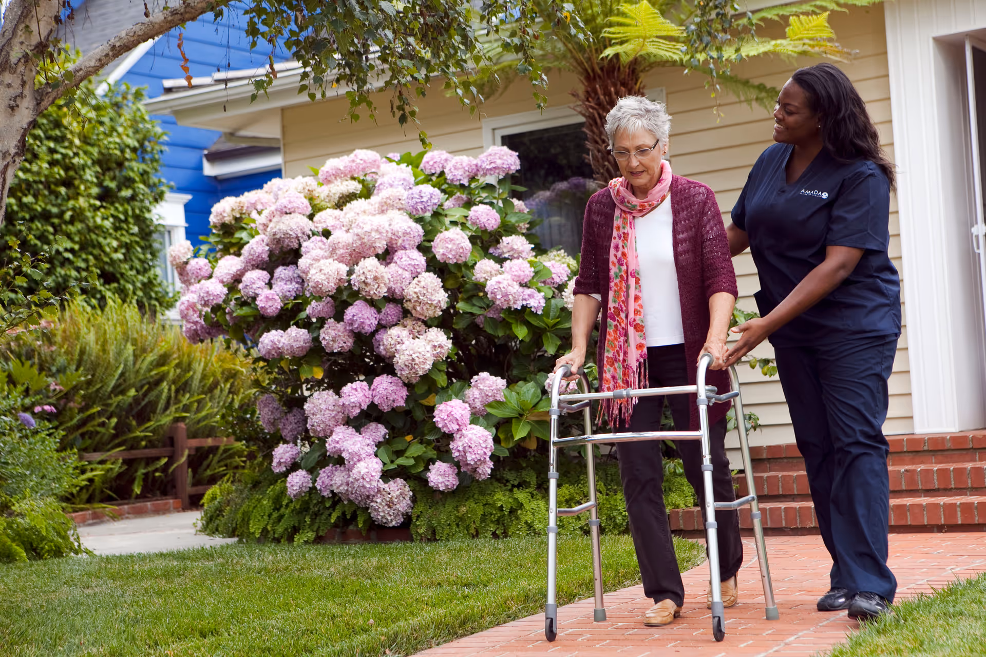 Two caregivers assist an elderly woman with a walker outdoors beside a flowering hydrangea shrub.