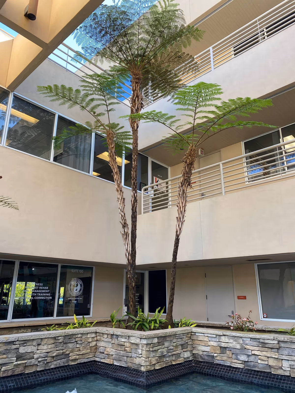 Indoor-outdoor courtyard of a senior facility with tall palm trees and a water feature.