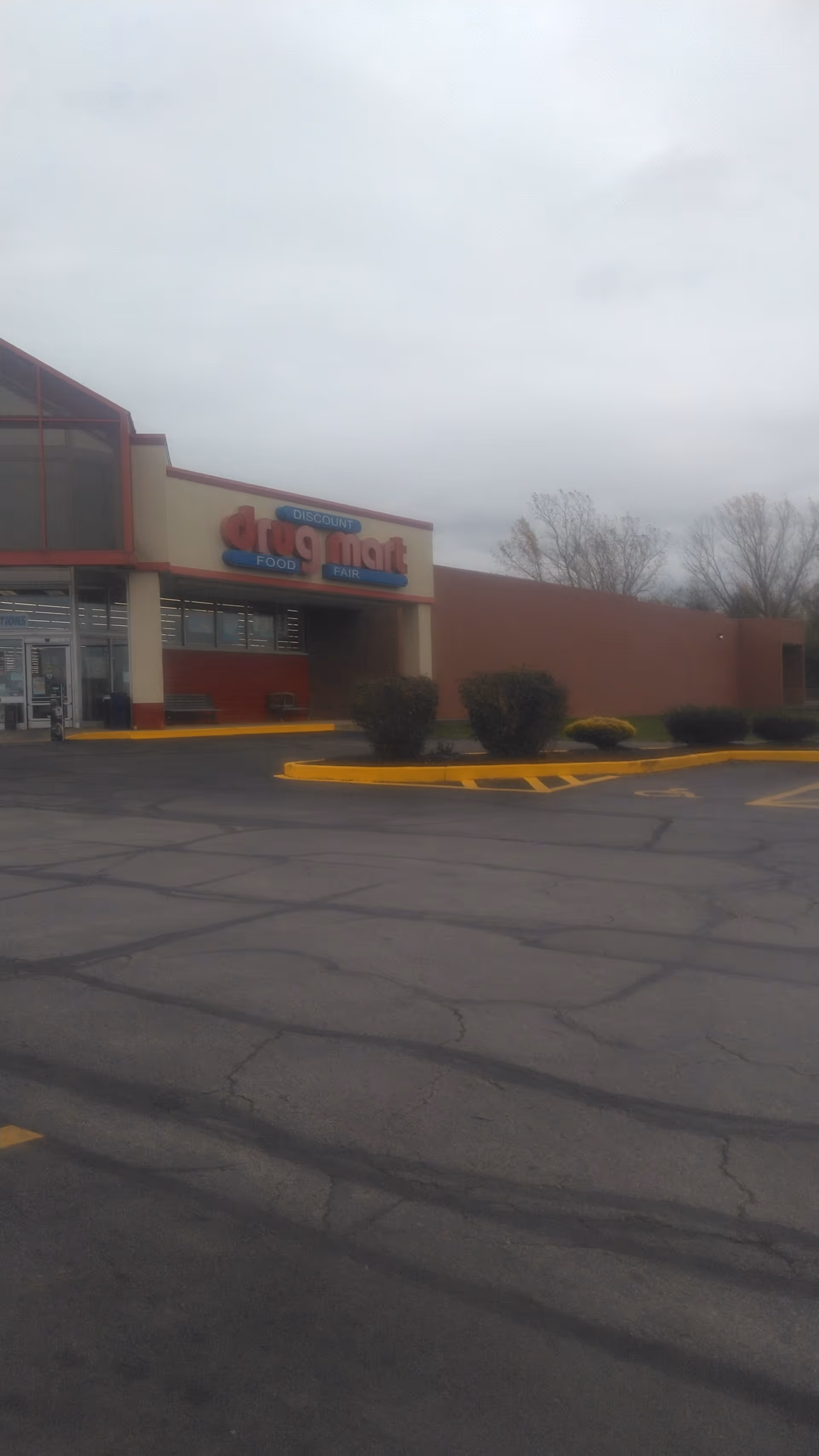 Front exterior of Discount Drug Mart with parking lot and shrubs.
