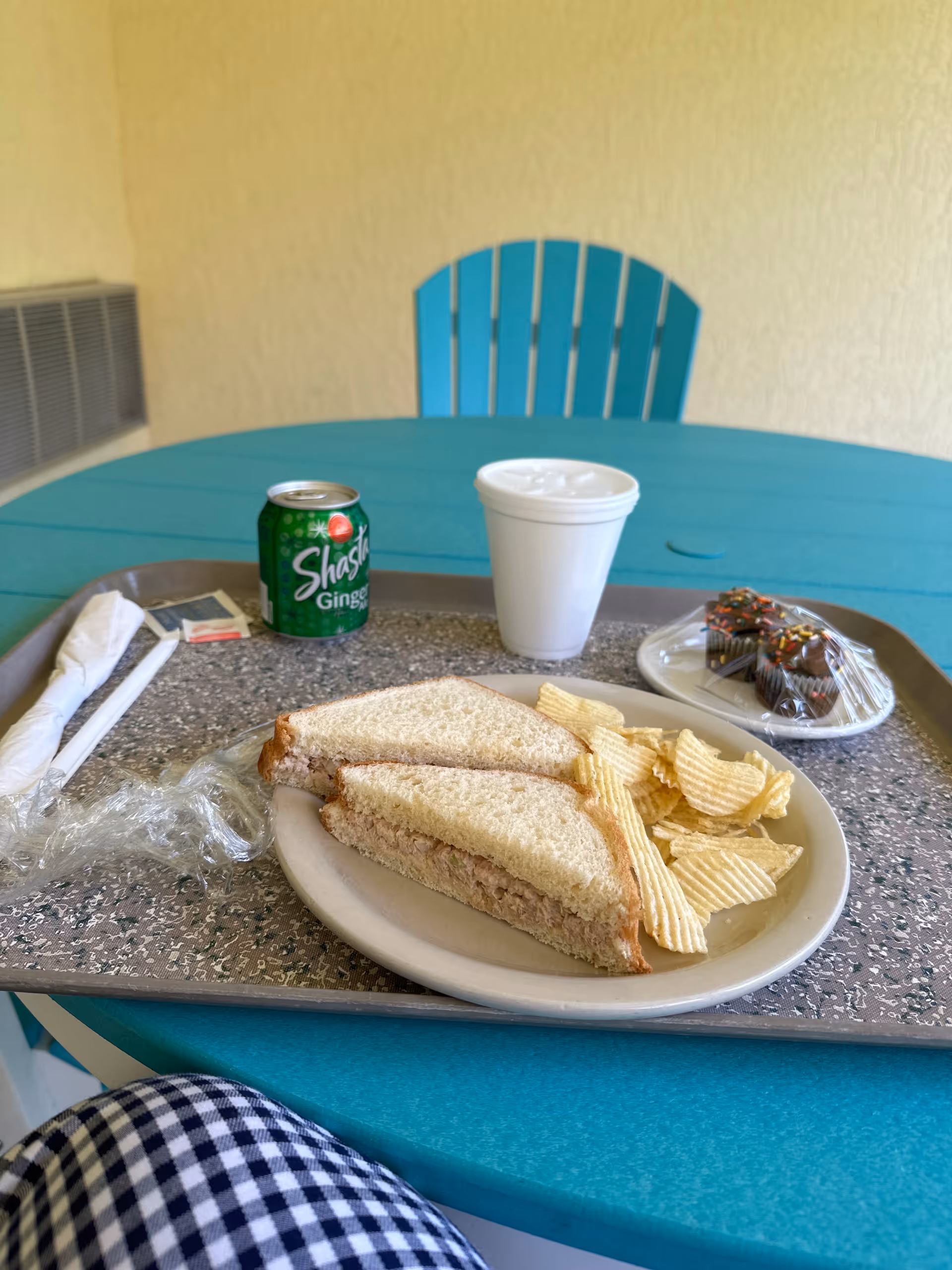 Outdoor turquoise table with sandwich on plate, chips, soda can, and cupcake.