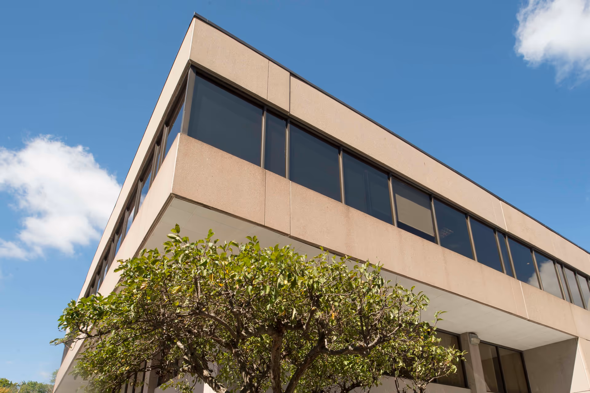 Angular beige building with large windows, blue sky, and a tree in front.