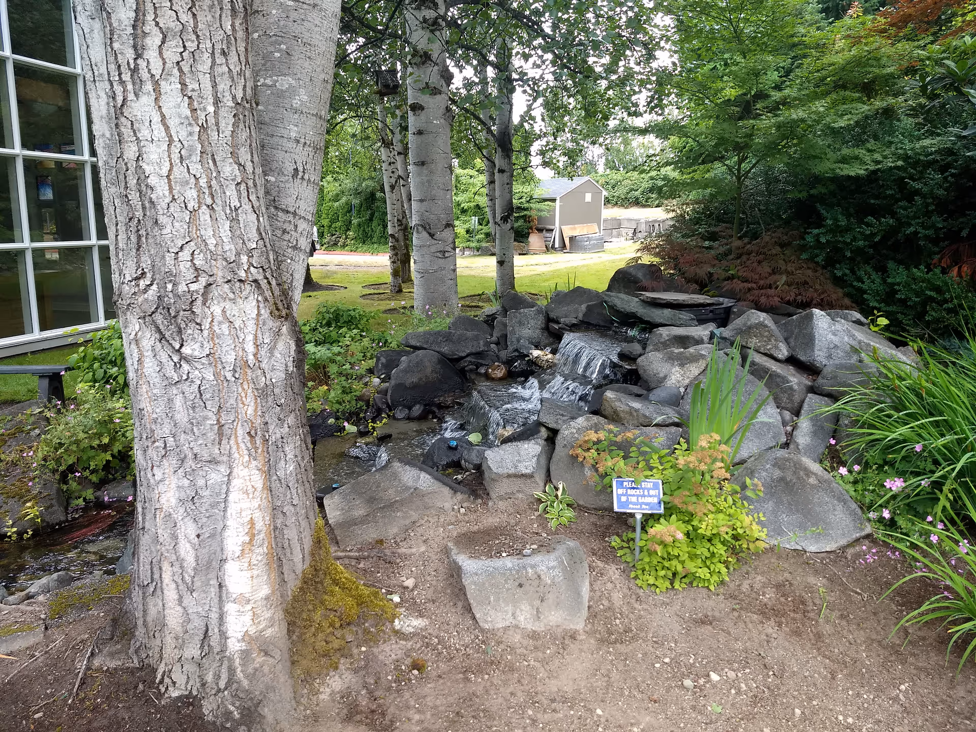 Outdoor garden with rocks, waterfall, trees, and a building with windows.