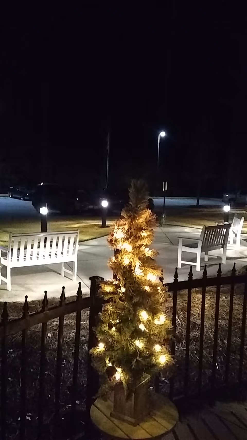 Nighttime outdoor courtyard with a small illuminated Christmas tree and white benches.