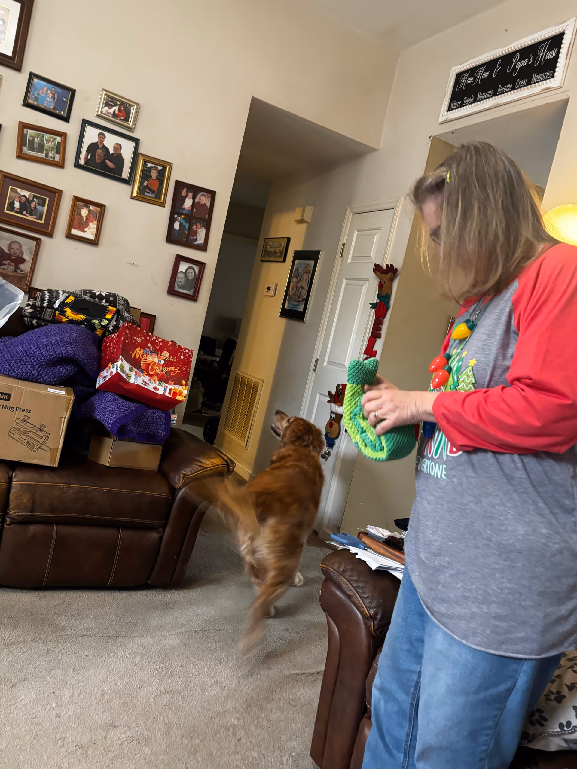 Caregiver in a gray shirt holds a knitted toy beside a dog in a living room.