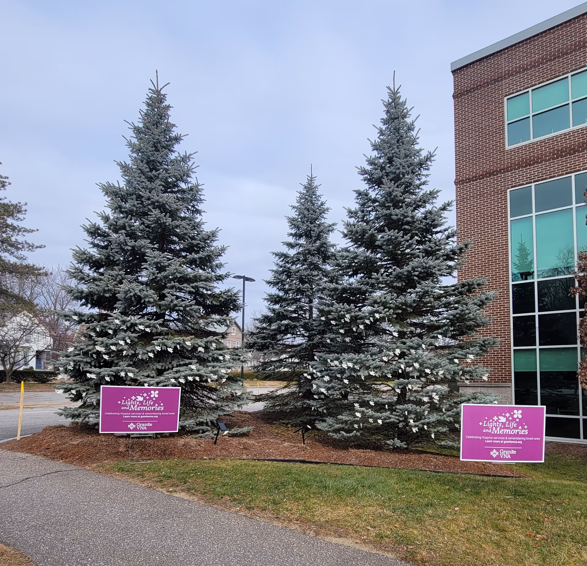 Exterior view of Granite VNA building with tall evergreen trees and purple signs.