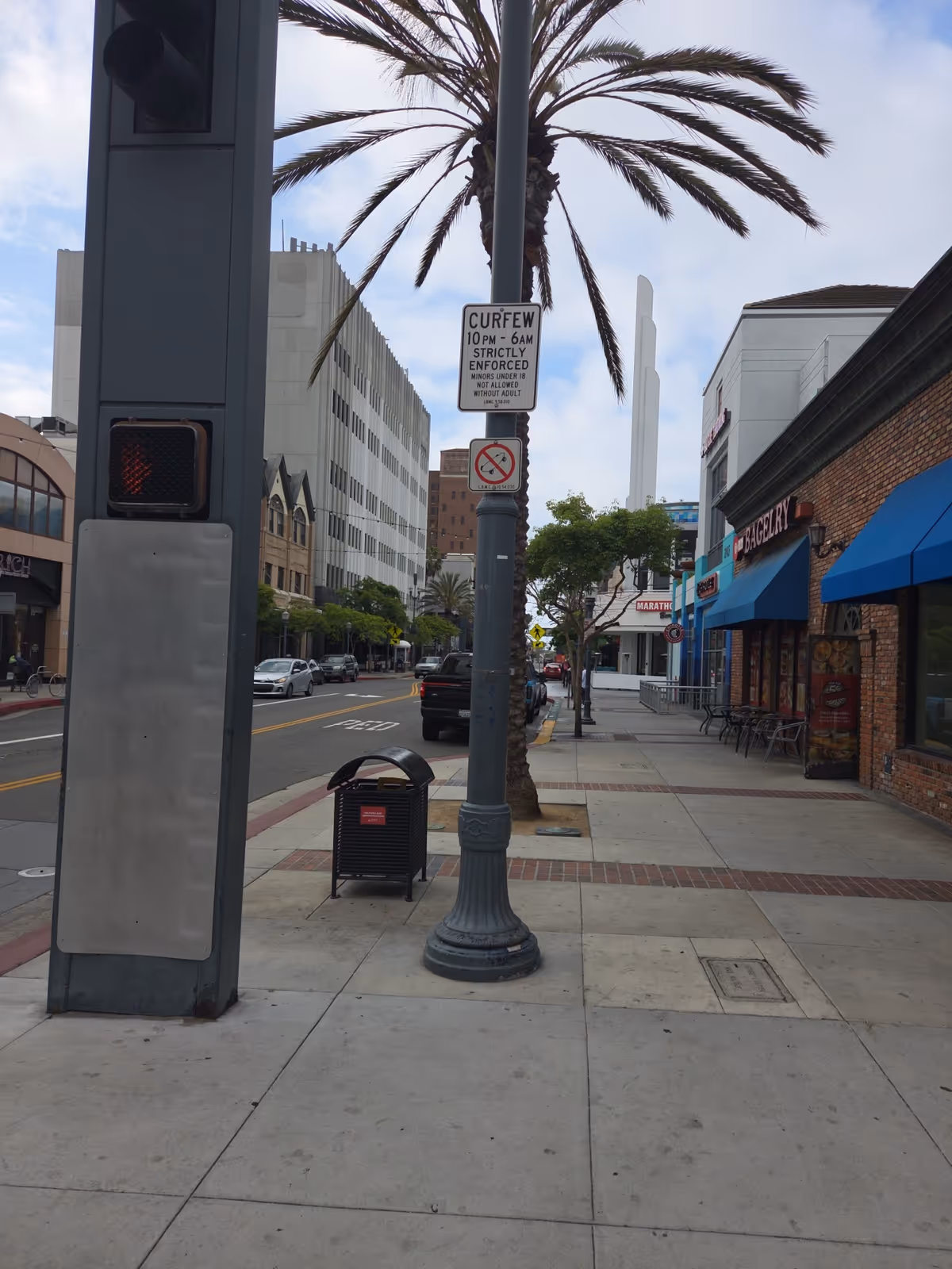 Urban street scene with a palm tree, lamppost, and storefronts along a sidewalk.