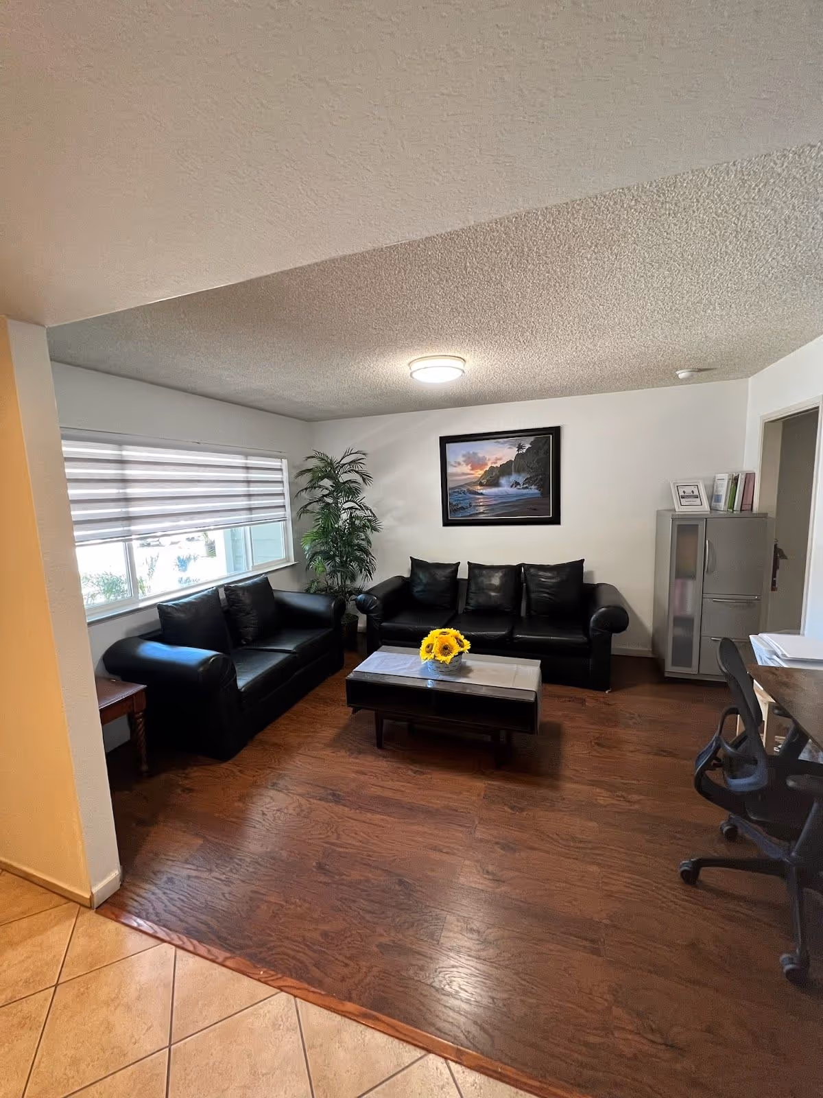 Cozy living room lounge with black leather sofas, coffee table, plant, and wall art.