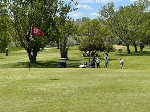 People stand near golf carts on a sunny, tree-filled golf course.
