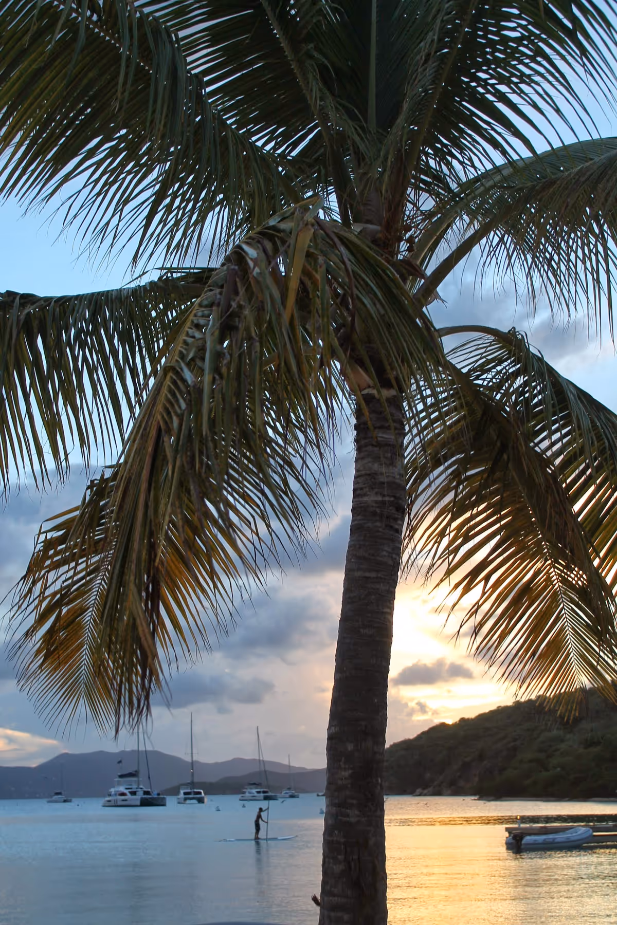 Palm tree foreground over calm sea with boats at sunset