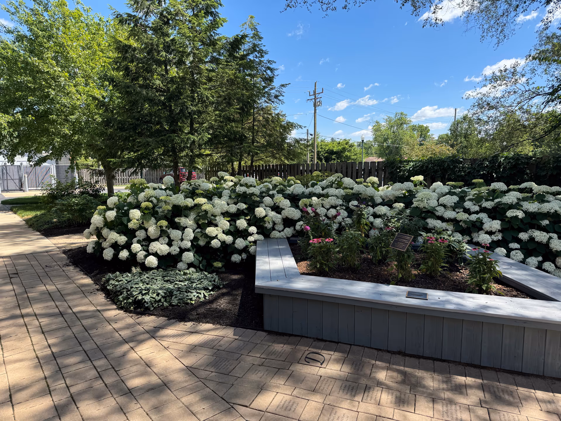A landscaped outdoor garden with white hydrangeas, paved walkway, and a wooden seating bench.
