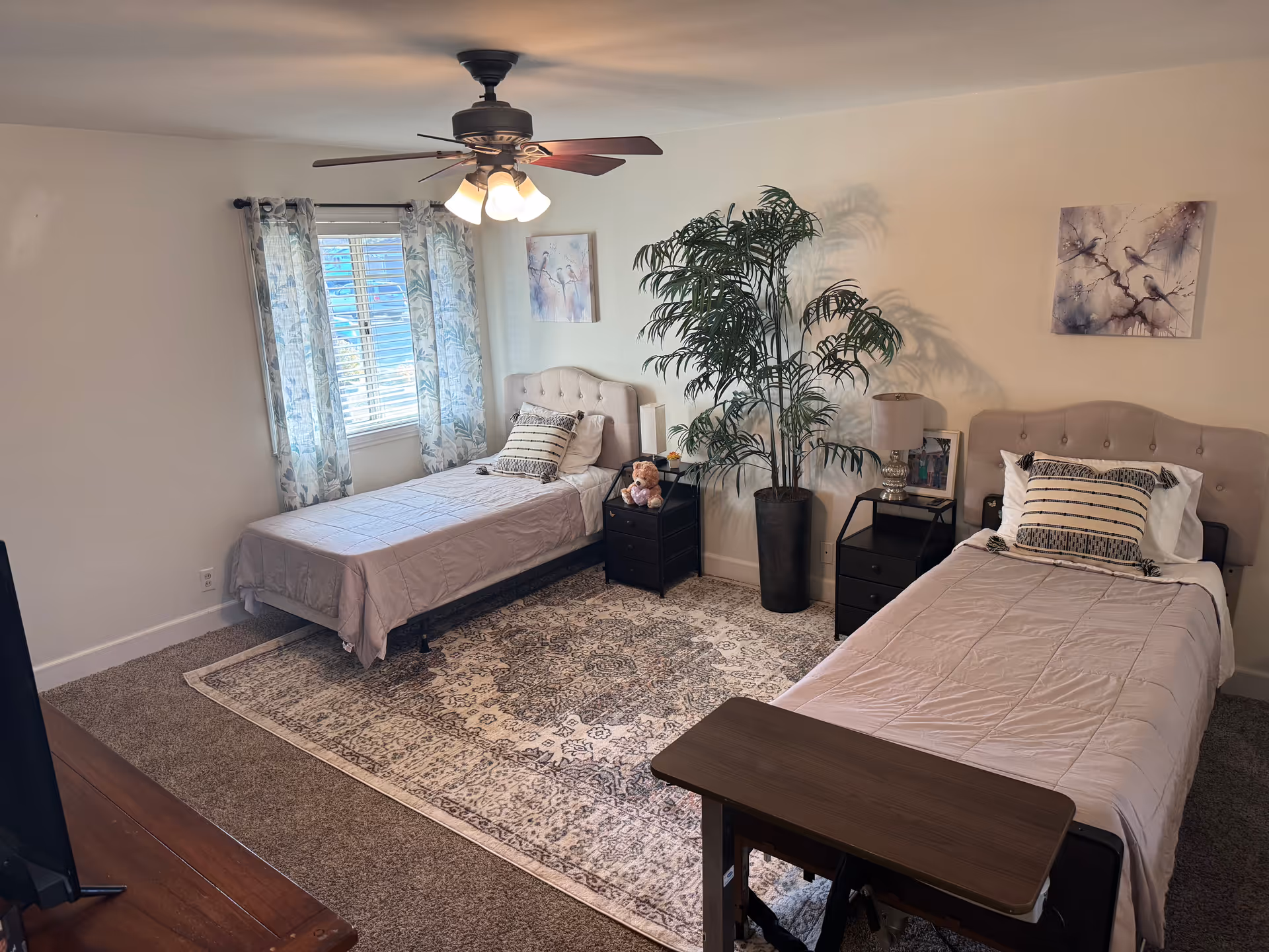 Two twin beds, nightstands, a ceiling fan, large plant, and window curtains.