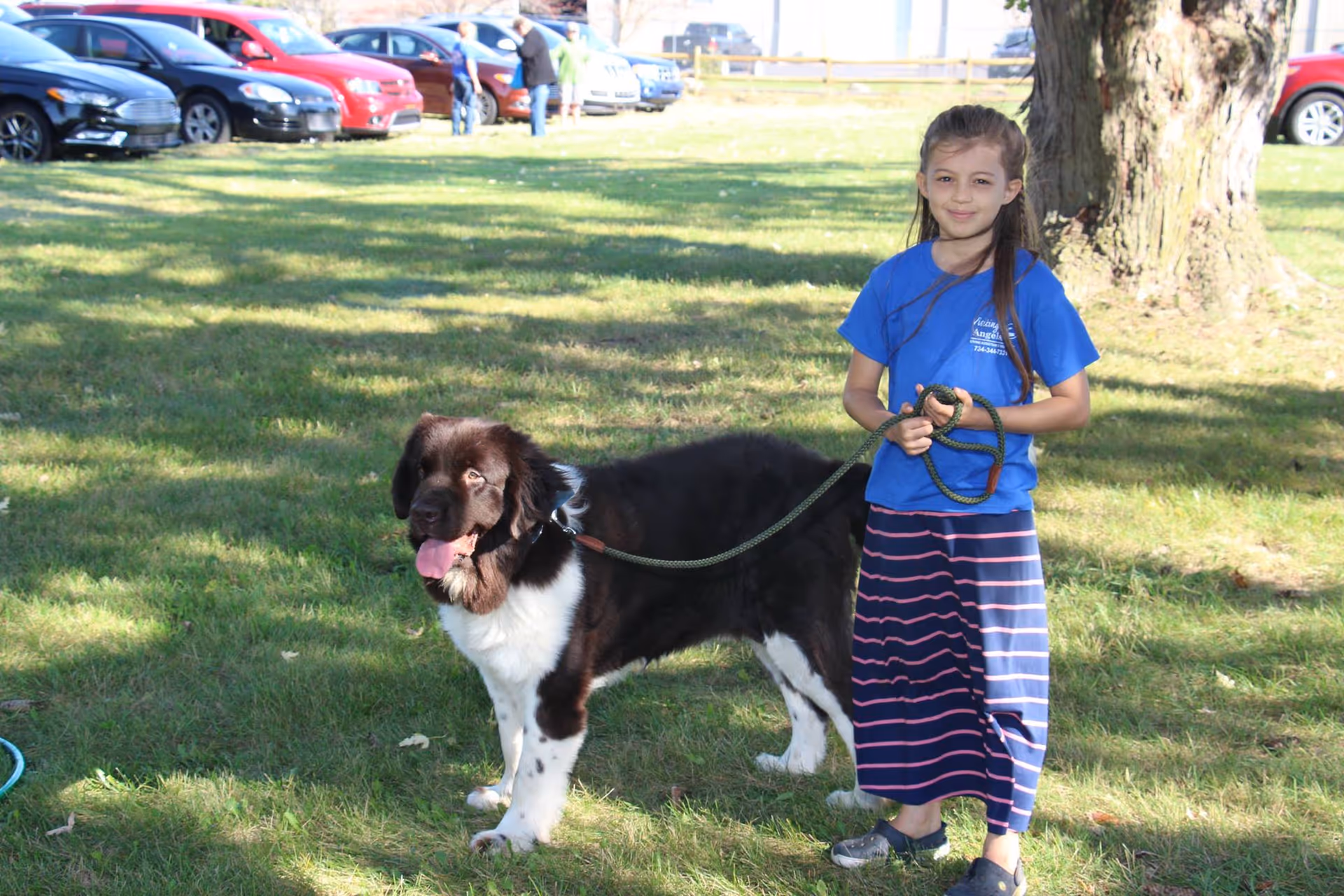 A young girl in a blue shirt stands on grass holding a dog on a leash.