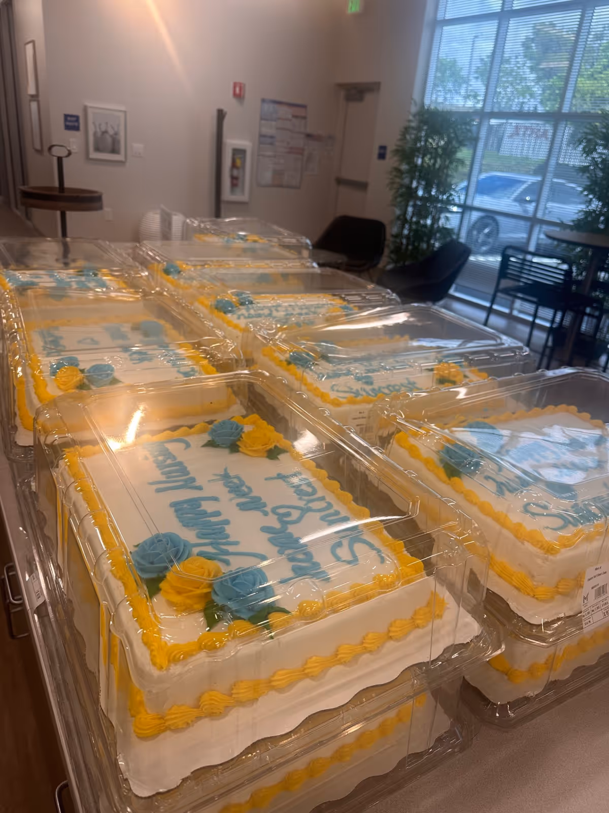 Row of decorated birthday cakes in plastic containers line a sunlit facility hallway.