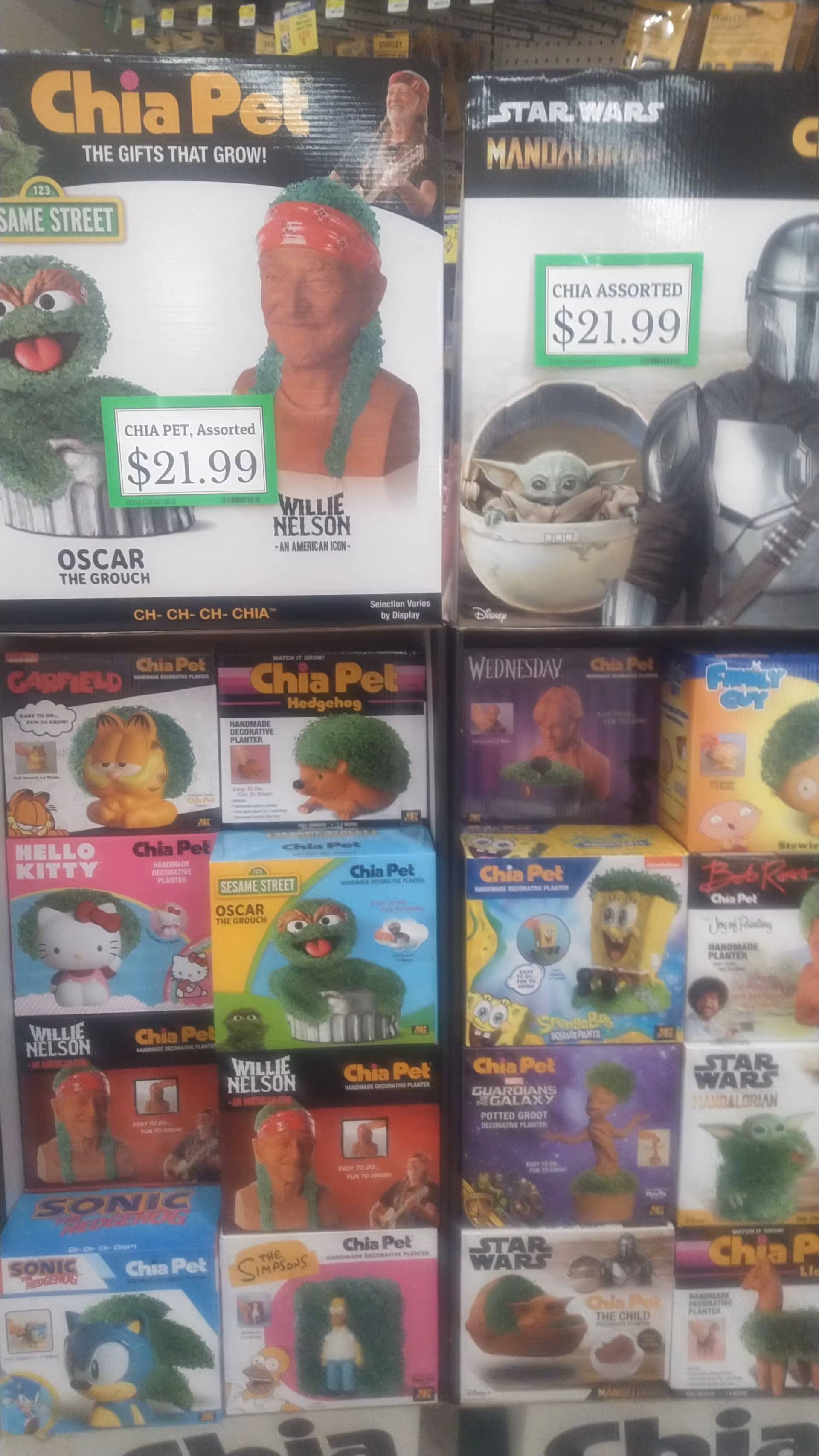 Shelf displaying colorful Chia Pet boxes and Star Wars-themed novelty items.