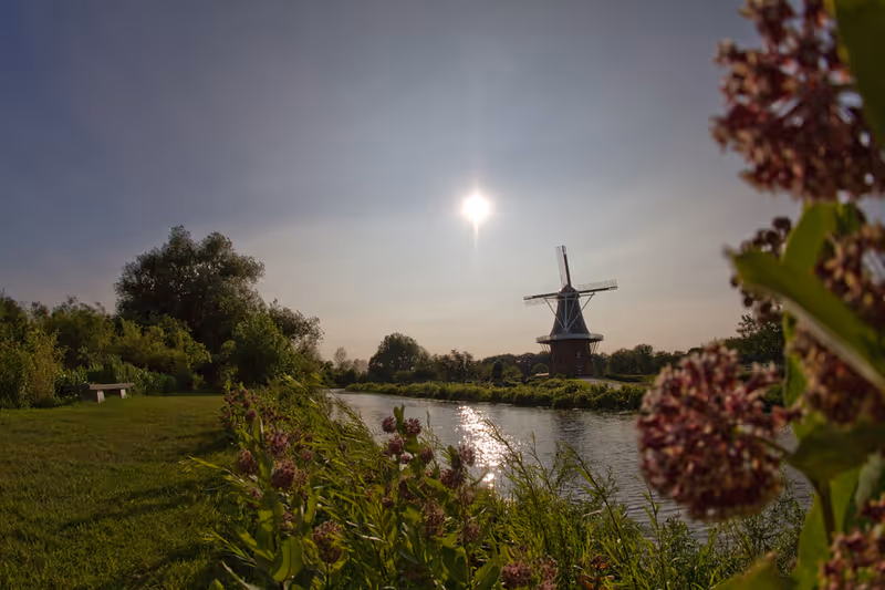 Sunny park by a river with a windmill, lush greenery, and flowering plants.