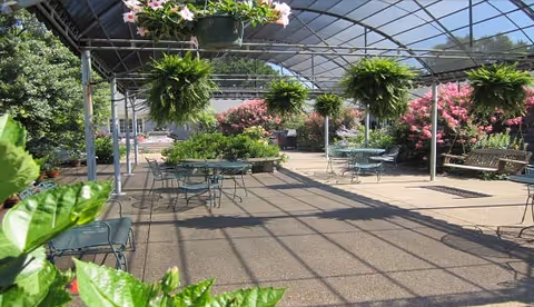 Covered outdoor patio with metal tables, chairs, hanging plants, and flowering shrubs.