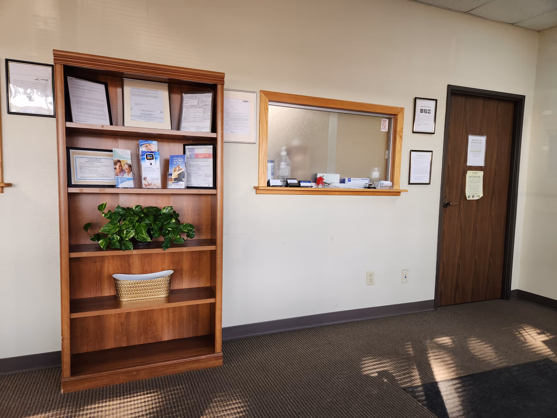 Tall wooden shelving unit with brochures and a potted plant beside a service window.
