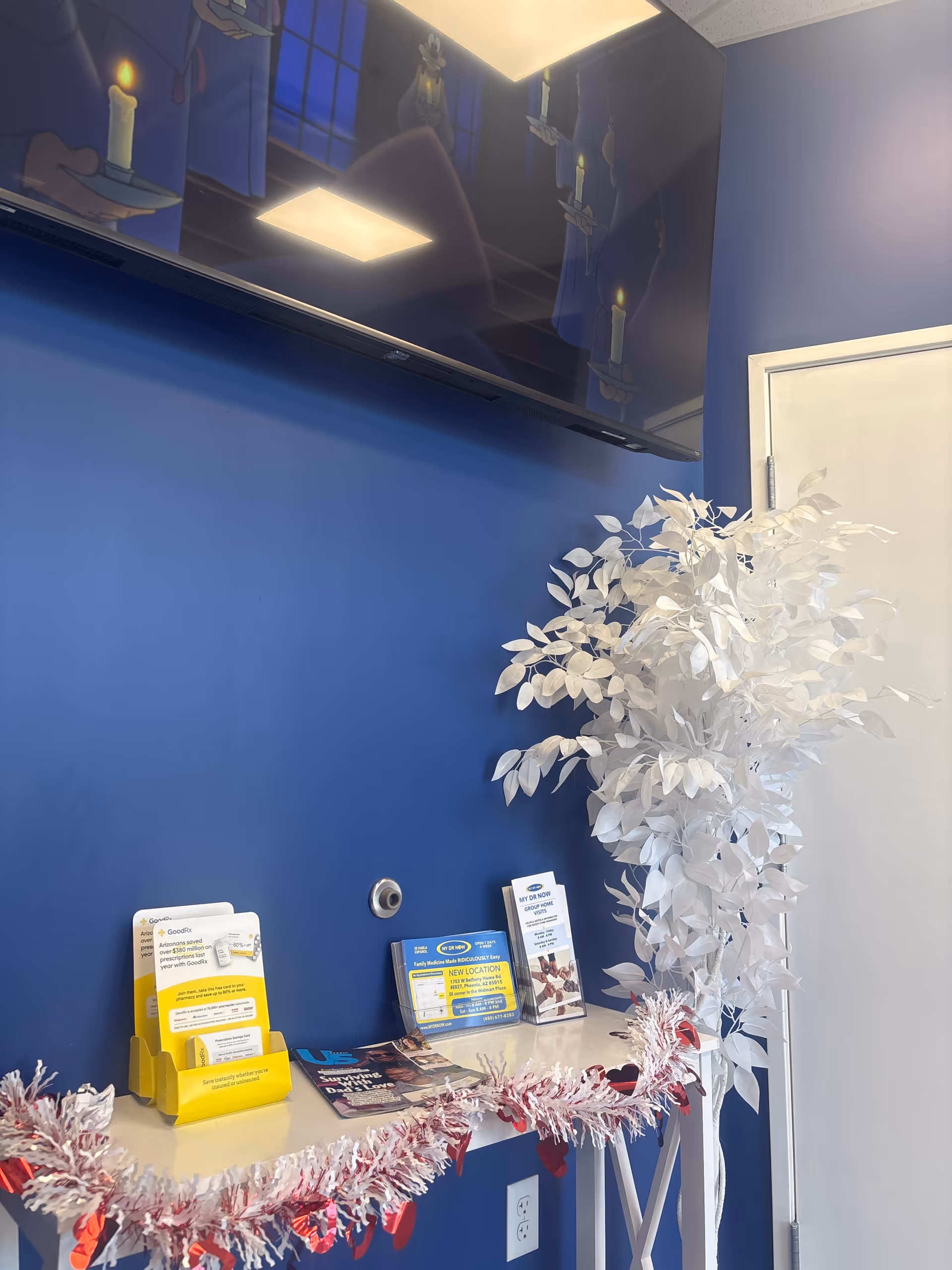 Blue-walled reception area with a TV, white decorative plant, and pamphlet counter.