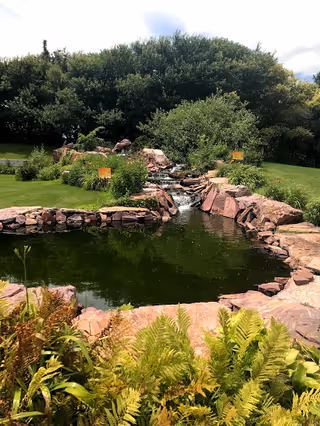 Rock-lined pond with a small waterfall surrounded by lush greenery in an outdoor garden.