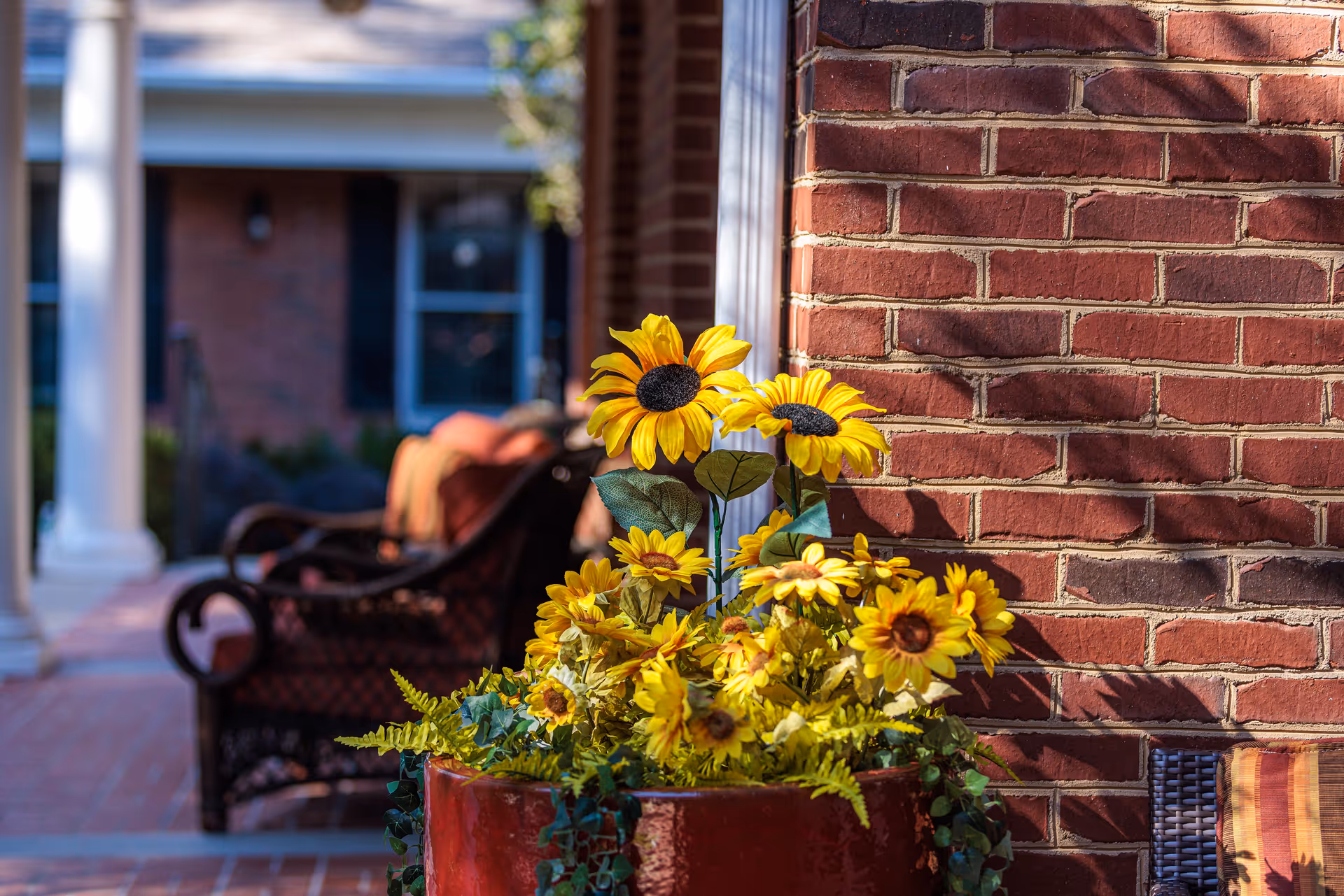 Bright yellow sunflowers in a red pot beside a brick building and outdoor seating
