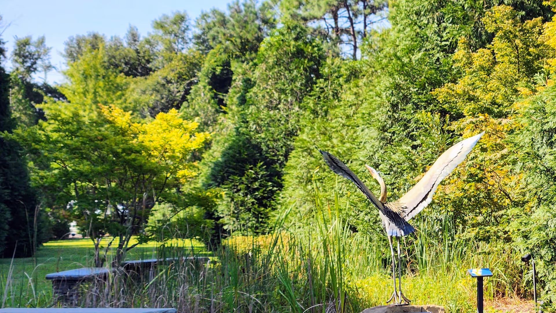 Lush outdoor garden with trees, tall grasses, and a large bird sculpture.