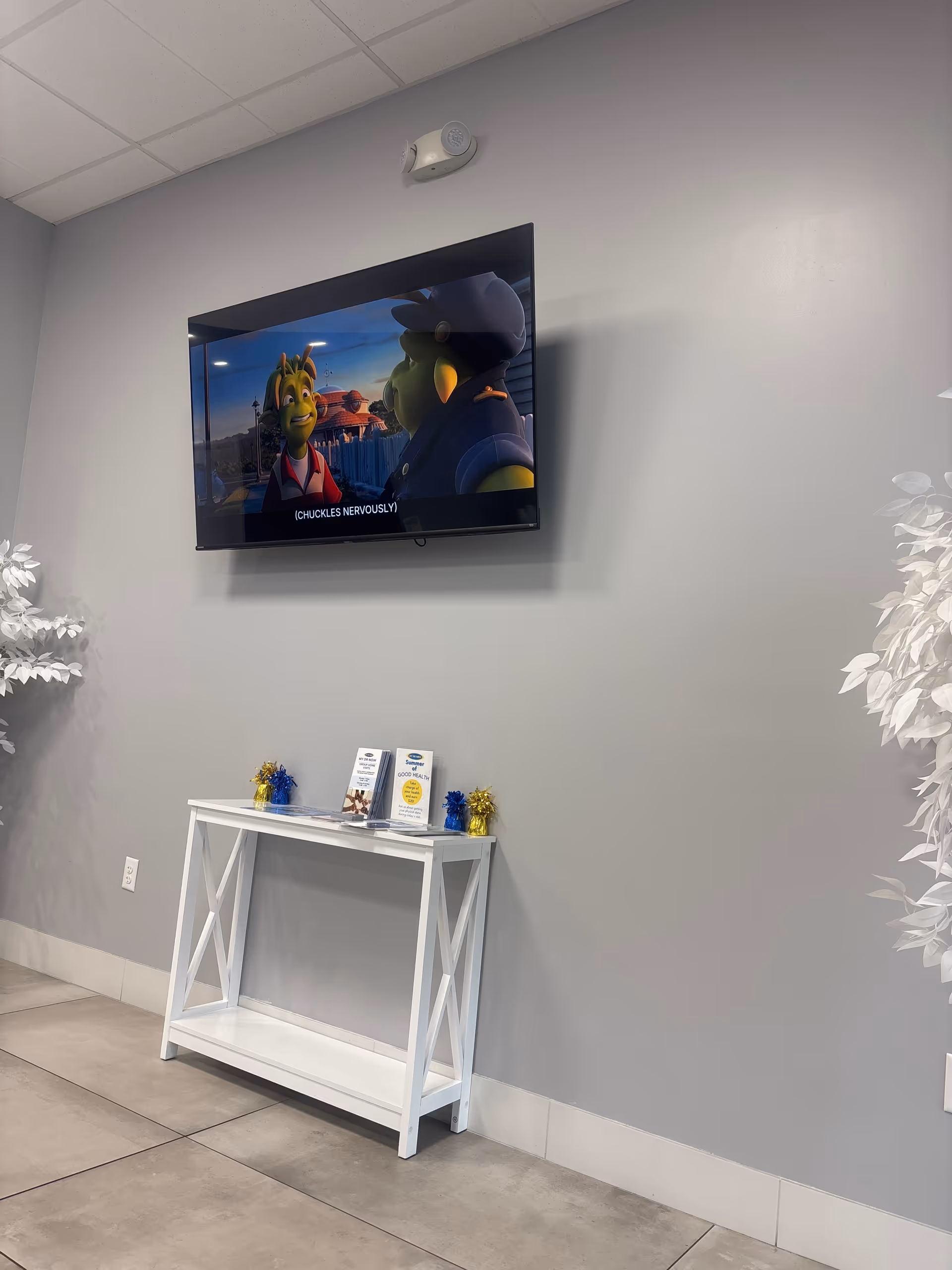 A wall-mounted TV shows a cartoon; a white console table with brochures sits beneath.